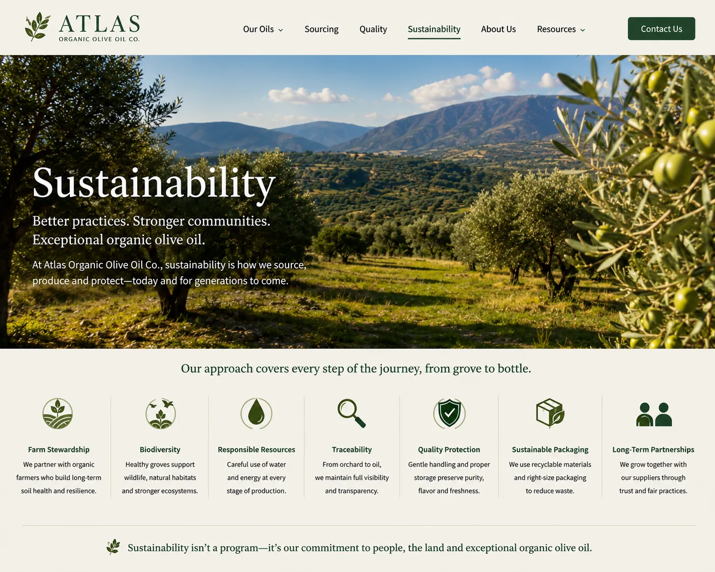Organic olive grove and sustainable olive oil supply chain